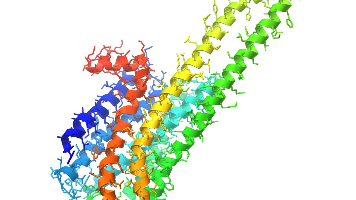 A receptor structure — the multi-target surface a designed multi-agonist peptide must fit; a Multigonist feature by Panacea Bio Chem and Bogdan Dicoias
